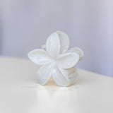 Frangpani Hair Claw Clip White