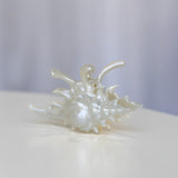 Spider Shell Hair Claw Clip Pearl