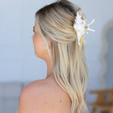 Spider Shell Hair Claw Clip Pearl